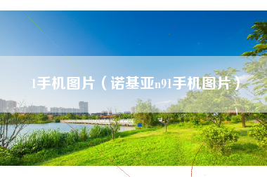 1手机图片（诺基亚n91手机图片）