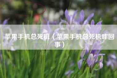 苹果手机总死机（苹果手机总死机咋回事）