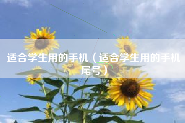 适合学生用的手机（适合学生用的手机尾号）