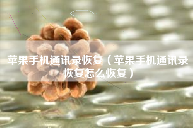 苹果手机通讯录恢复（苹果手机通讯录恢复怎么恢复）