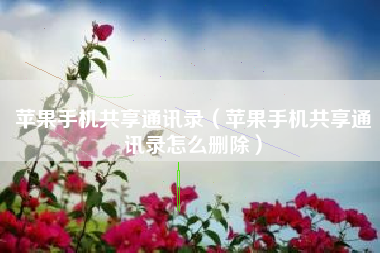 苹果手机共享通讯录（苹果手机共享通讯录怎么删除）