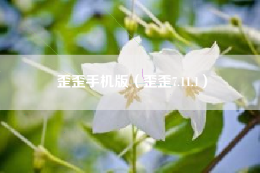 歪歪手机版（歪歪7.11.1）