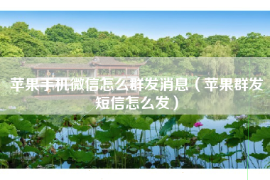 苹果手机微信怎么群发消息（苹果群发短信怎么发）