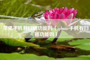 苹果手机有扫描功能吗（iphone手机有扫描功能吗）