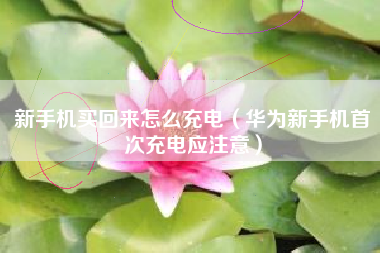 新手机买回来怎么充电（华为新手机首次充电应注意）