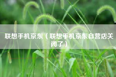 联想手机京东（联想手机京东自营店关闭了）