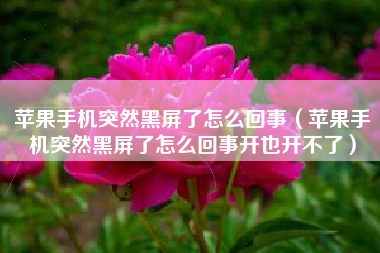 苹果手机突然黑屏了怎么回事（苹果手机突然黑屏了怎么回事开也开不了）