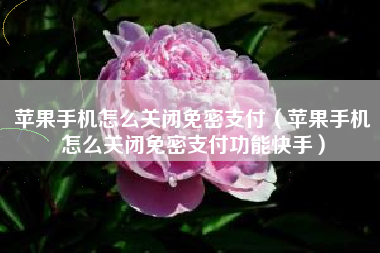 苹果手机怎么关闭免密支付（苹果手机怎么关闭免密支付功能快手）
