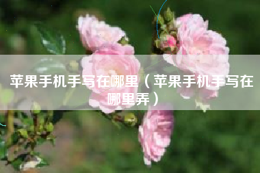 苹果手机手写在哪里（苹果手机手写在哪里弄）