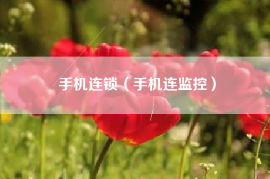 手机连锁（手机连监控）