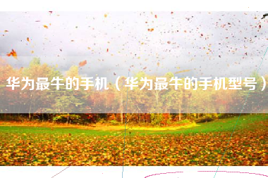华为最牛的手机（华为最牛的手机型号）