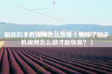 删除的手机视频怎么恢复（删除了的手机视频怎么做才能恢复？）
