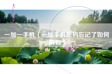 一加一手机（一加手机密码忘记了如何解锁）