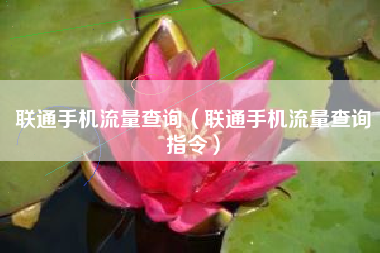联通手机流量查询（联通手机流量查询指令）
