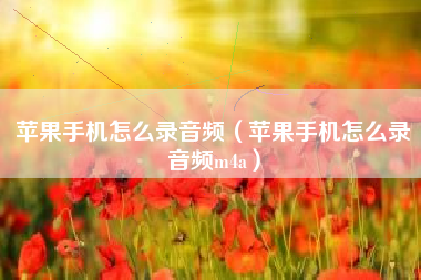 苹果手机怎么录音频（苹果手机怎么录音频m4a）