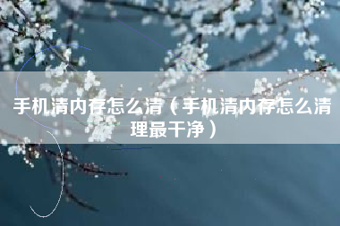 手机清内存怎么清（手机清内存怎么清理最干净）