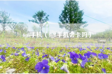 6gb手机（6gB手机会卡吗）