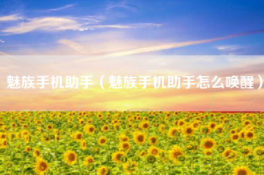 魅族手机助手（魅族手机助手怎么唤醒）