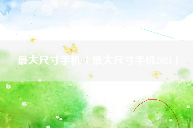 最大尺寸手机（最大尺寸手机2024）