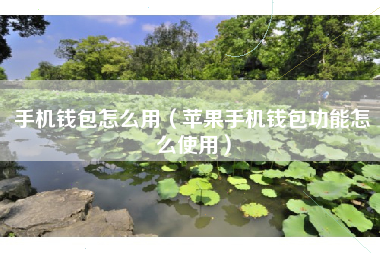 手机钱包怎么用（苹果手机钱包功能怎么使用）