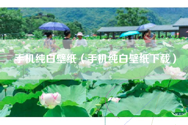 手机纯白壁纸（手机纯白壁纸下载）