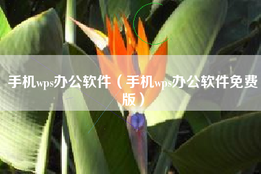 手机wps办公软件（手机wps办公软件免费版）