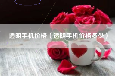 透明手机价格（透明手机价格多少）