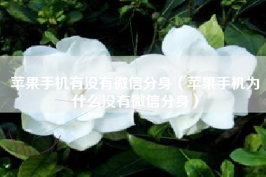 苹果手机有没有微信分身（苹果手机为什么没有微信分身）