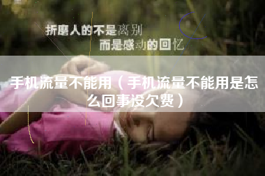手机流量不能用（手机流量不能用是怎么回事没欠费）