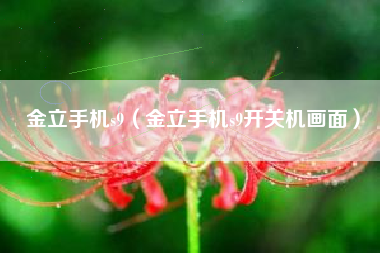 金立手机s9（金立手机s9开关机画面）