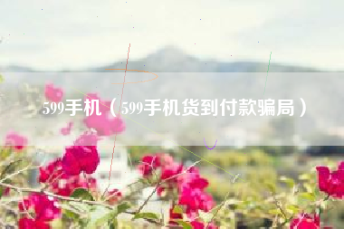 599手机（599手机货到付款骗局）
