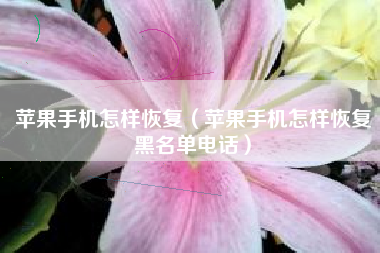 苹果手机怎样恢复（苹果手机怎样恢复黑名单电话）