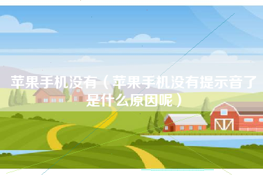 苹果手机没有（苹果手机没有提示音了是什么原因呢）