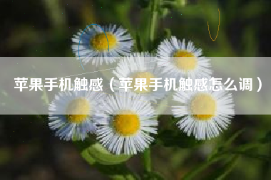 苹果手机触感（苹果手机触感怎么调）
