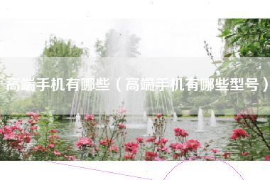 高端手机有哪些（高端手机有哪些型号）