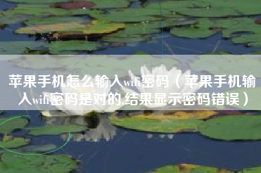 苹果手机怎么输入wifi密码（苹果手机输入wifi密码是对的,结果显示密码错误）