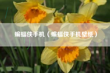 蝙蝠侠手机（蝙蝠侠手机壁纸）