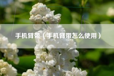 手机臂带（手机臂带怎么使用）