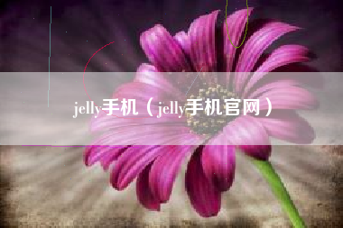 jelly手机（jelly手机官网）