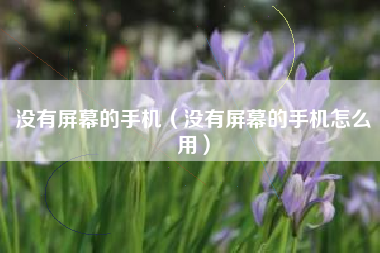 没有屏幕的手机（没有屏幕的手机怎么用）