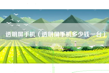 透明屏手机（透明屏手机多少钱一台）