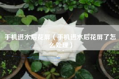 手机进水后花屏（手机进水后花屏了怎么处理）