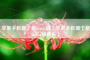苹果手机哪个是home键（苹果手机哪个是home键图标）