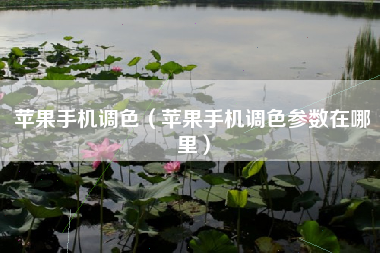 苹果手机调色（苹果手机调色参数在哪里）