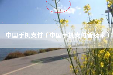 中国手机支付（中国手机支付普及率）