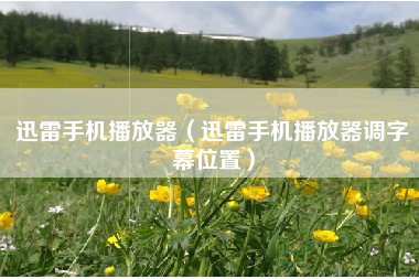 迅雷手机播放器（迅雷手机播放器调字幕位置）