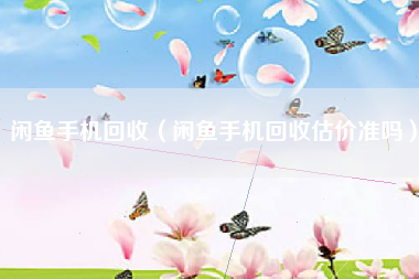 闲鱼手机回收（闲鱼手机回收估价准吗）