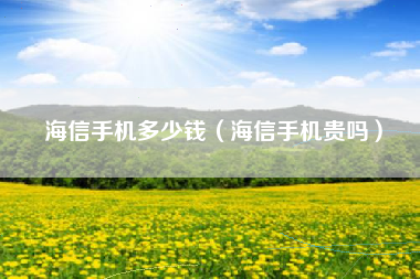 海信手机多少钱（海信手机贵吗）