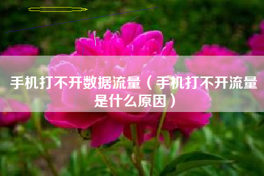 手机打不开数据流量（手机打不开流量是什么原因）