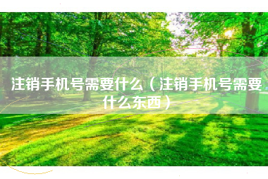 注销手机号需要什么（注销手机号需要什么东西）